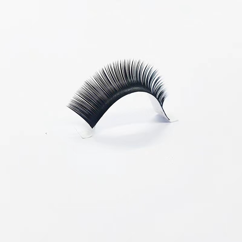 Lash Extension